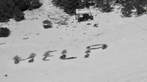 3人受困荒岛 树叶摆出「HELP」获救