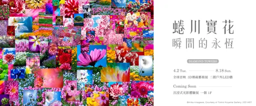 國際攝影藝術家蜷川實花首支3D裸視作品　新光三越全球首發鉅獻！