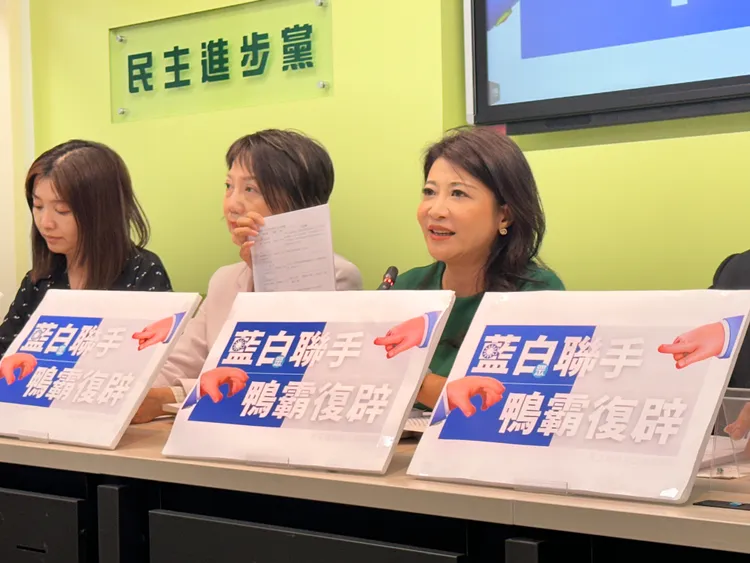 民進黨團副幹事長林楚茵。潘袁詩羽攝