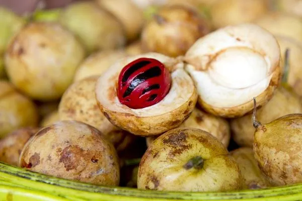 檳城本地熱帶水果-荳蔻。檳城旅遊局提供