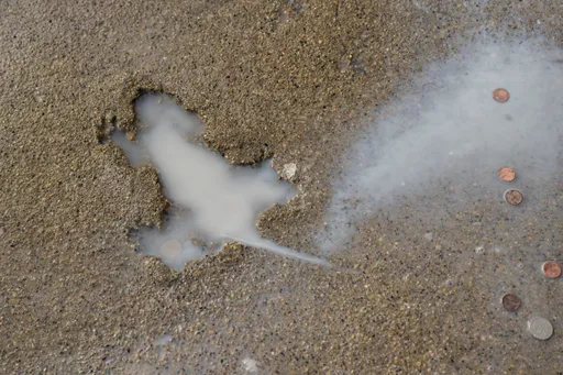 「人行道受損」挖掉知名「鼠洞」 居民:已存在近20年