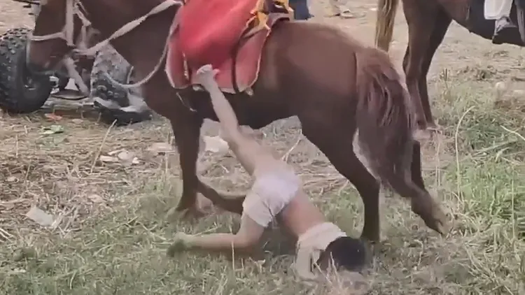 翻攝自推特