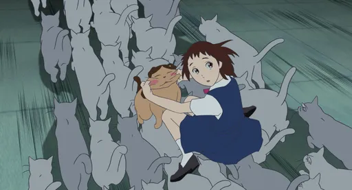 猫派有福了!《猫的报恩》经典回归 猫界男神登场萌翻超疗愈