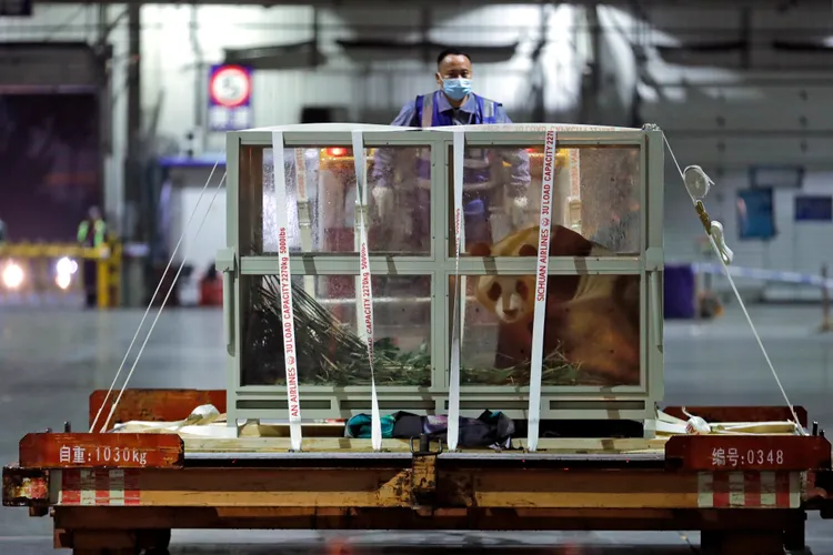 福寶3日晚間搭乘專機降落成都雙流機場。新華社