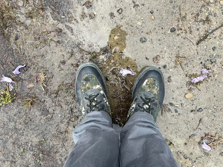 楊子賢分享教召國軍迷彩膠鞋很實用。翻攝自楊子賢臉書