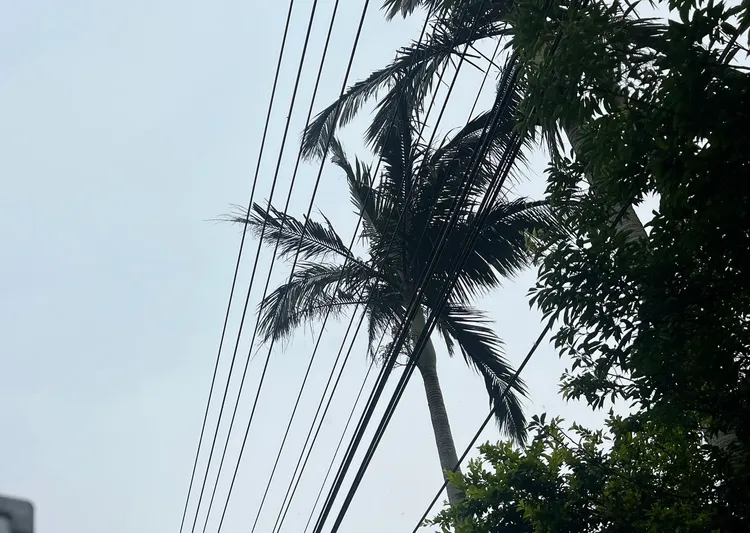 台電包商剪樹枝竟造成小人國停電。台電桃園區營業處提供