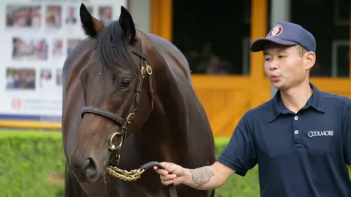 爭搶血統！傳奇賽馬後代　2億元拍出創紀錄