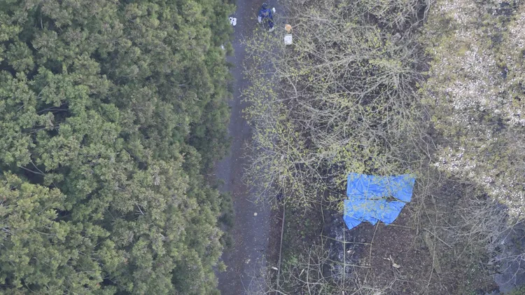 發現屍體的地點是在栃木縣那須町的山區。警方已將屍體用藍色帆布蓋住。美聯社空拍圖
