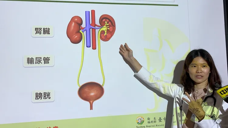 徐敏哲醫師指出，高燒性泌尿道感染的小朋友，有30％是輸尿管逆流造成。院方提供