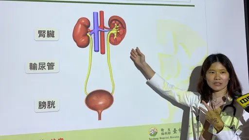 1歲男童「腎臟沒長大」 竟是先天輸尿管異常導致尿液逆流
