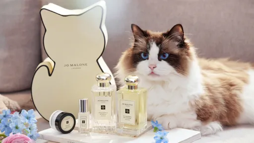 Jo Malone母亲节限定礼盒太萌！　超限量猫咪、熊熊童趣来助阵