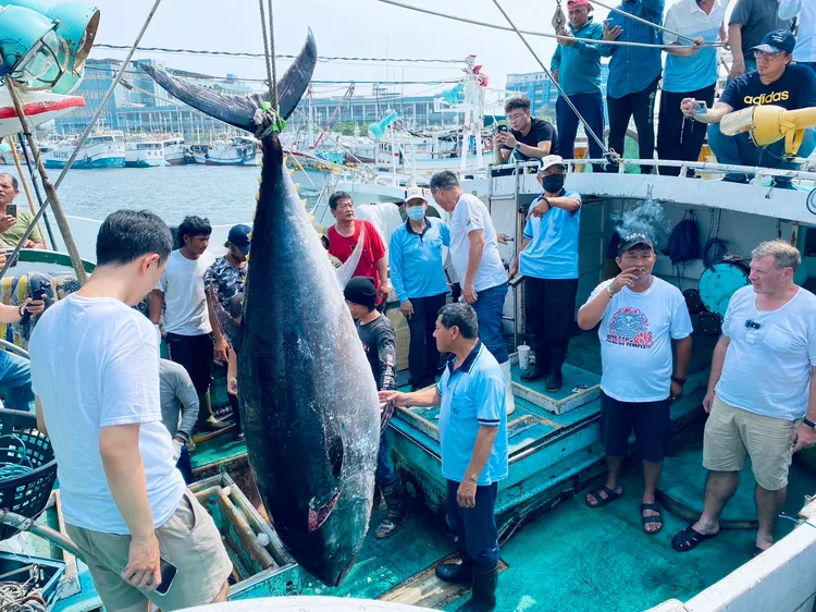琉球籍「安穩發8號」拿下今年屏東「第一鮪」。東港區漁會提供
