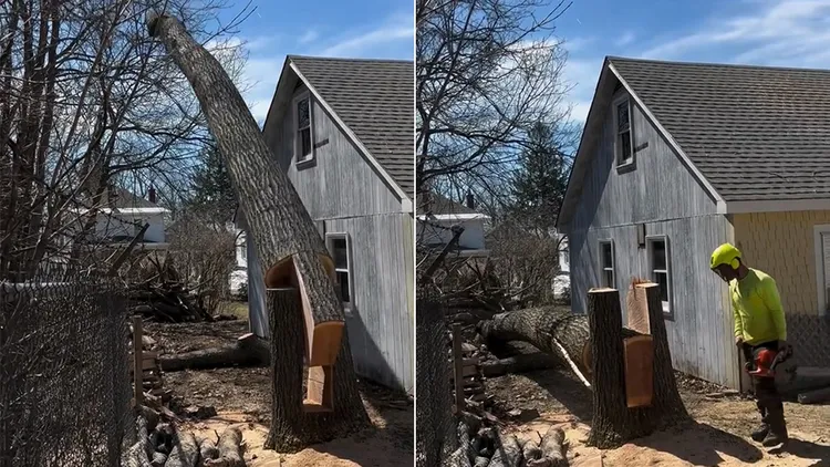 翻攝自GLOSS TikTok