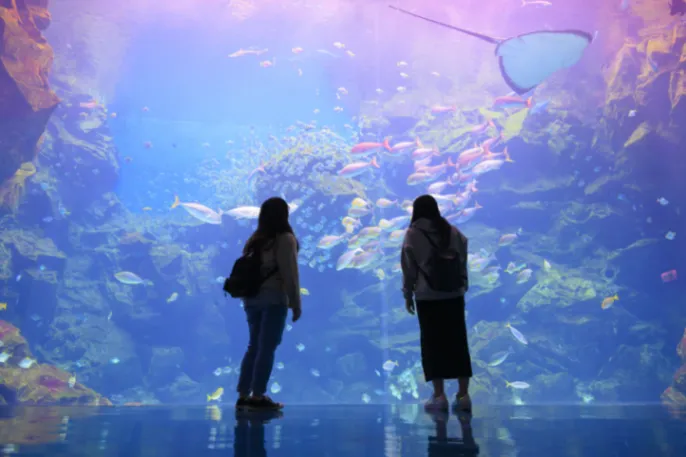 高鐵推出平日包含來回車票加Xpark水族館，每人只要2660元起。高鐵提供