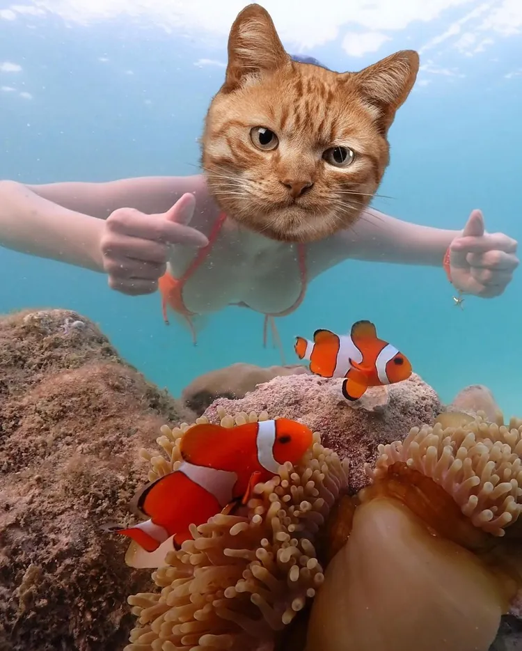 27歲「北一女神」蔡瑞雪化身「爆乳尼莫」，32C奶呼之欲出。翻攝《snowbabyq》的IG