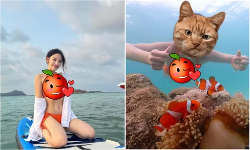 蔡瑞雪變身「爆乳尼莫」!網友狂讚:不科學的美麗