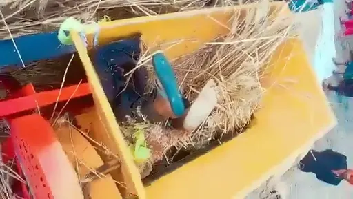 風吹麥田篷布引發分屍悲劇 14歲少年失足摔進收割機慘死