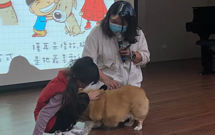 講師依據不同年齡層學生設計教材內容，積極協助各校園推動基層動物保護工作。動保處提供