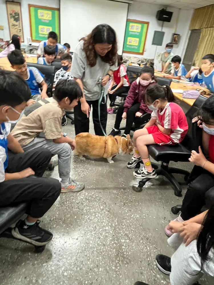 動保處講師群以趣味活潑又淺顯易懂的方式宣導飼主責任。動保處提供
