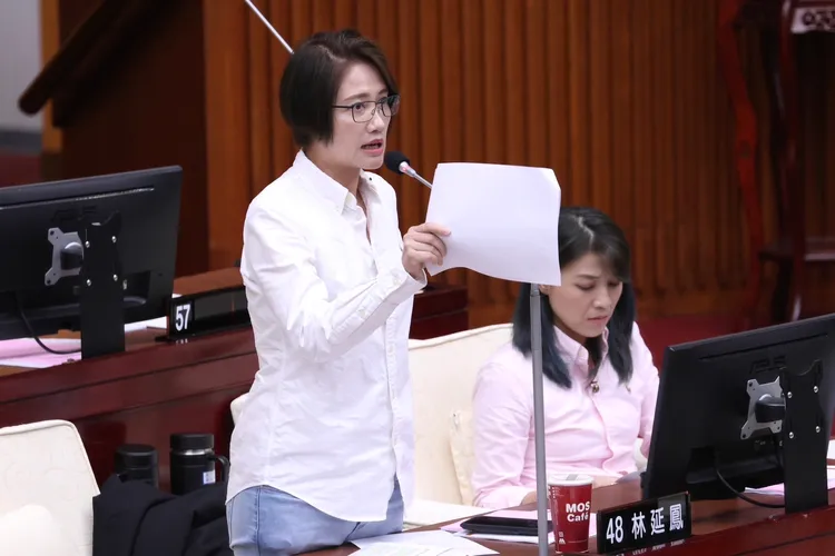 北市議員林延鳳質疑陳智菡的懶人包內容避重就輕。資料照，記者彭欣偉攝