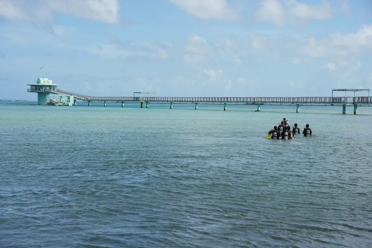 魚眼公園周遭是關島熱門的浮潛及水肺潛水的地點之一。StellAH.攝