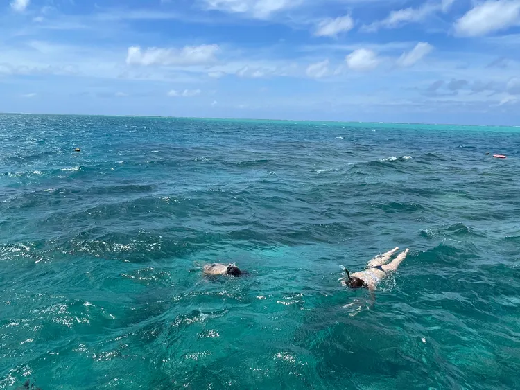 在業者的安全範圍內，旅客可體驗浮潛。StellAH.攝