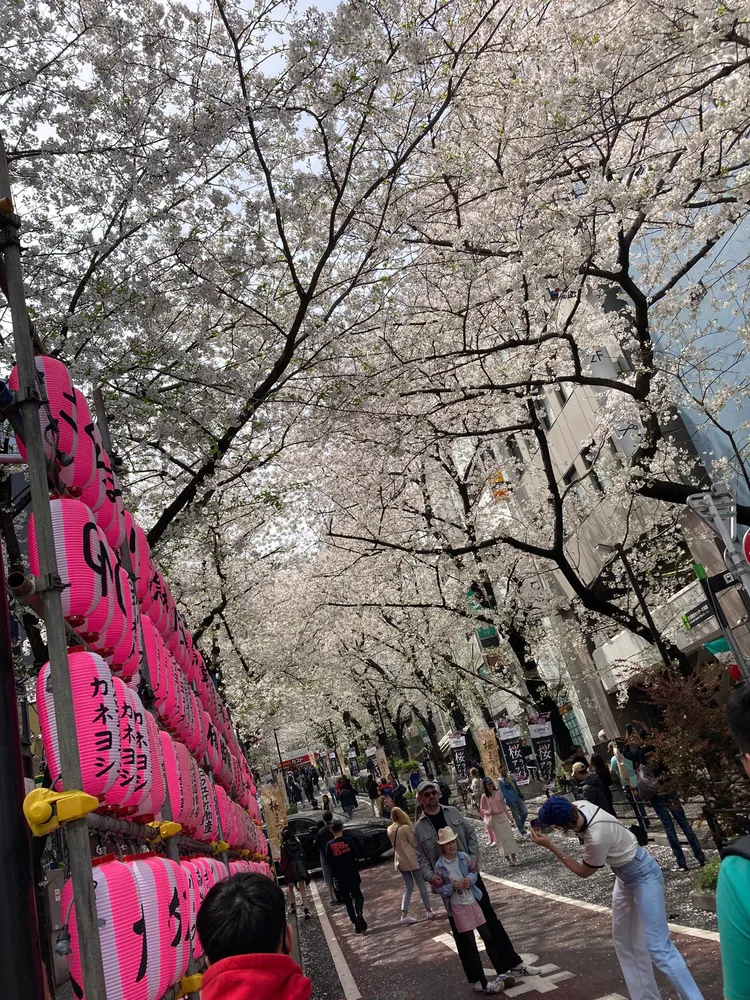 家庭遊客不顧孩子安危，在還有車輛出入的車道上擺拍。翻攝X@driel_hth_dory