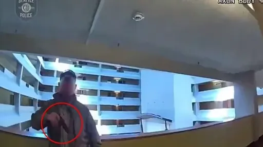 美警處理戀童犯三部曲「奪槍、開火、清空彈匣」 67歲變態男被打成蜂窩