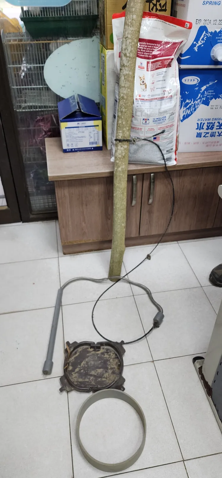 動保人員在方圓50公尺內發現3具類似山豬吊的「無差別獵具」。台灣動物緊急救援小組提供