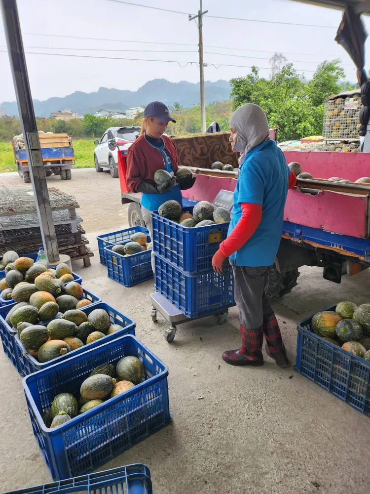 全聯攜手農業部推出花蓮特產，希望幫助農民。全聯提供