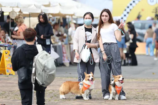 把握陽光!清明連假水氣多 週六雨區擴大「全台溼答答」