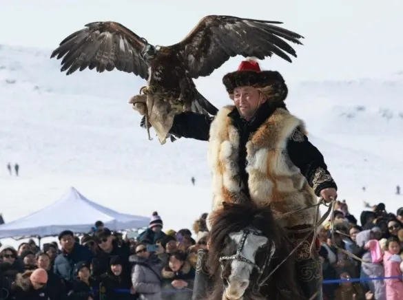 主辦單位邀請蒙古比賽獲獎老鷹參加上聯寵物展。業者提供