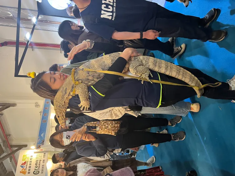 歡慶兒童節首創硫磺巨蜥蜴擁抱互動體驗0元。業者提供