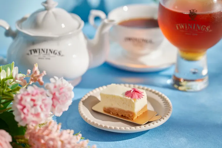 北海道重乳酪蛋糕。業者提供