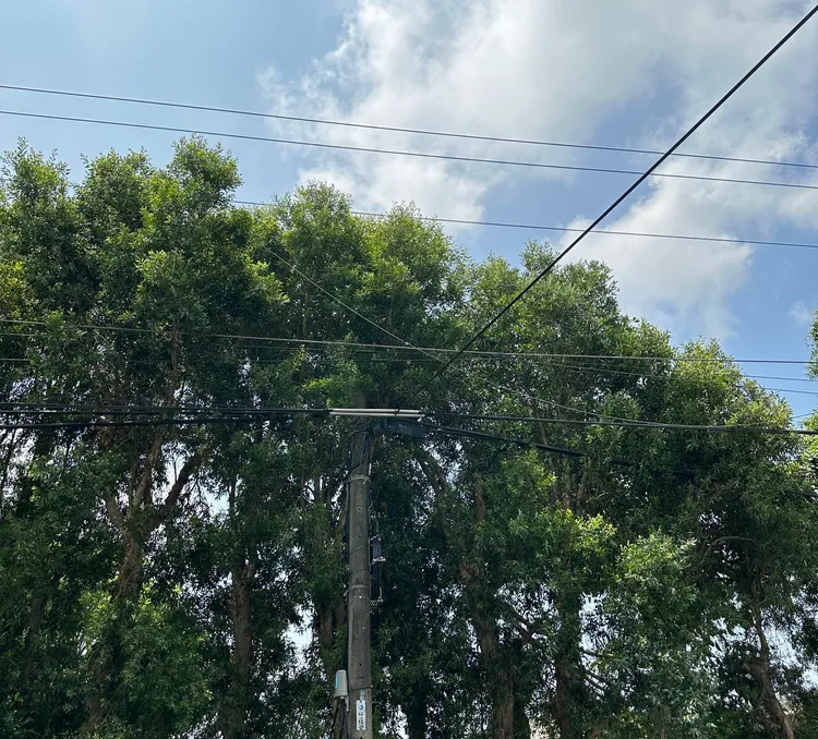 新屋區發生台電公司架空地線斷線釀991戶停電。台電桃園區營業處提供