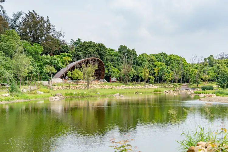 大湳森林公園生態。桃園市府提供