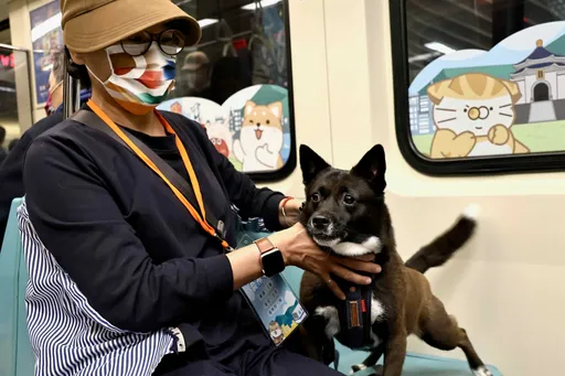寵物友善列車「已消毒完成」 北捷呼籲乘客可安心搭乘
