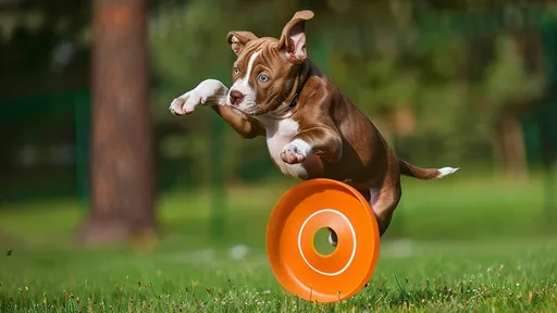 孕婦遭擄「狗狗與飼主輪流性侵」　58歲淫狼拍過程稱她自願