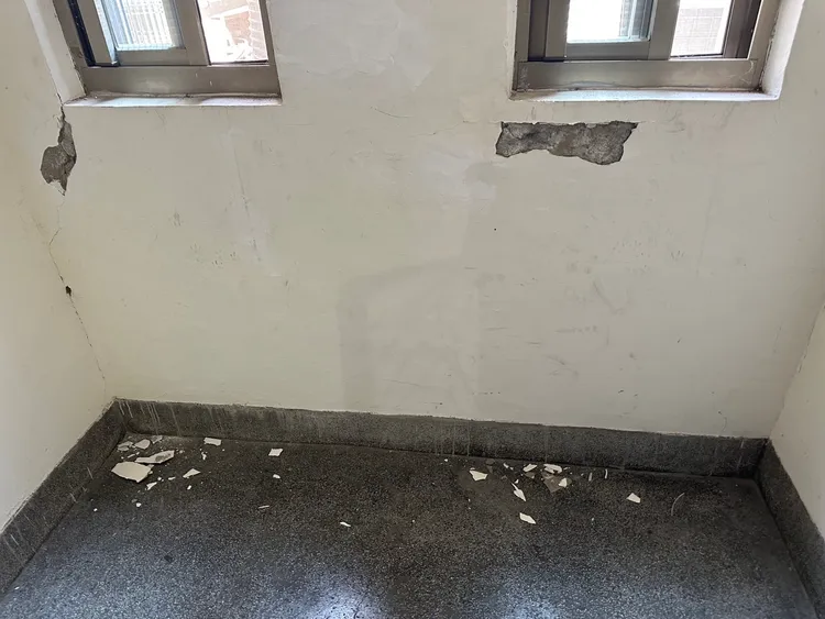 陳怡君呼籲市府監測觀察並做出緊急應變計畫。北市議員陳怡君提供