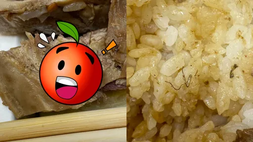 噁爆!便當雞肉「塞2隻蟑螂」飯還黏屍腿 燒臘店回應了