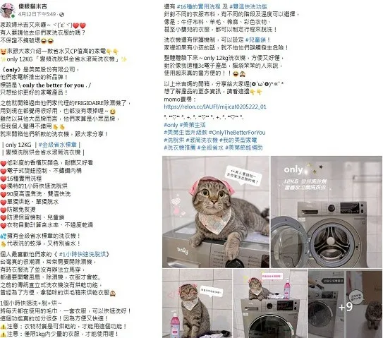 網紅「傻眼貓米吉」大讚1小時快速洗脫烘，方便快速，省水又CP值高！翻攝《傻眼貓米吉》粉絲頁