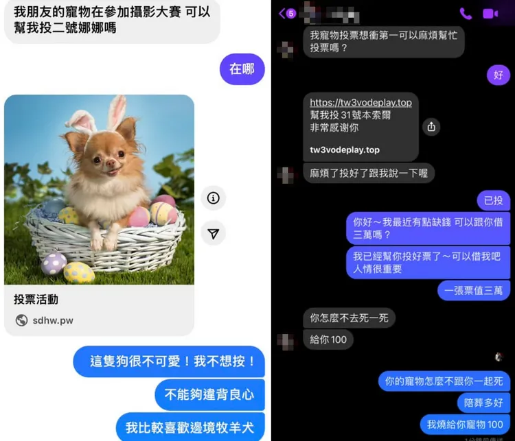 其他網友也同樣遇到「寵物投票」詐騙。翻攝《爆料公社二社》臉書