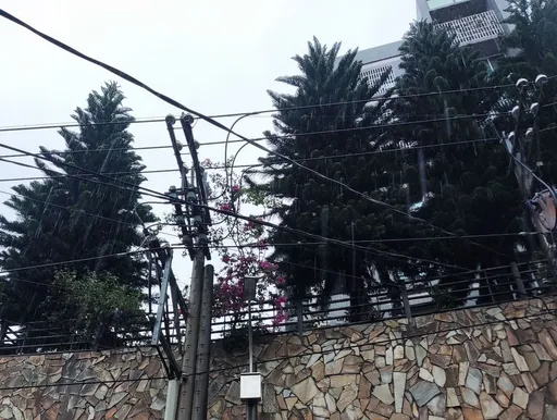 大雷雨強襲!台電供電系統受波及 桃園龍潭逾8千戶停電