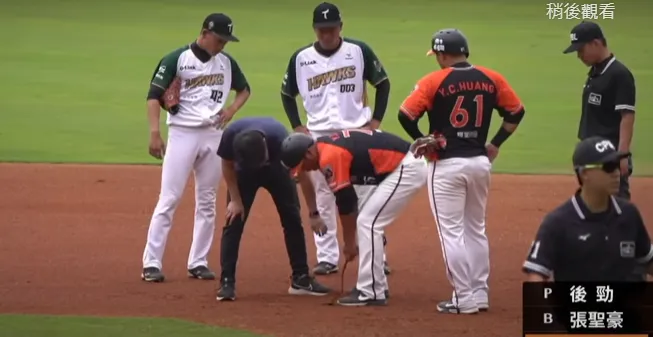 澄清湖棒球場出現超大根鐵條。翻攝自漁夫大玩攝影YT