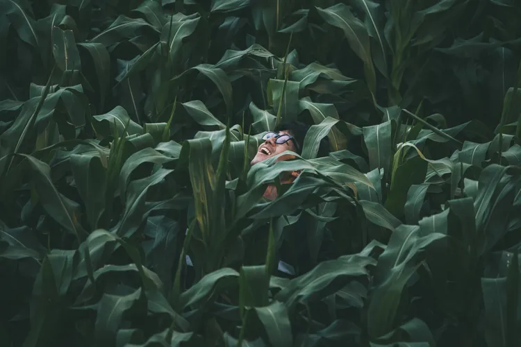 劇中主角張耀仁從一大片玉米田跑回家，原來是分段拍攝。公視台語台提供