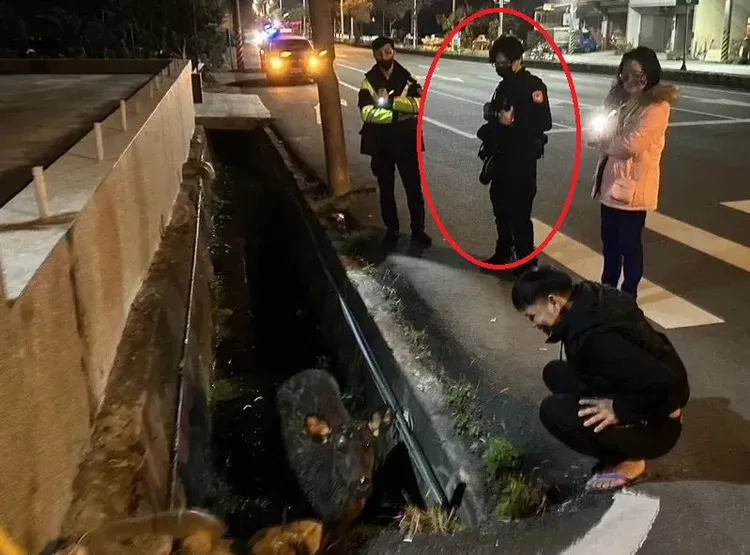 高偉倫於案發前一天還在處理為民服務案件。資料照片