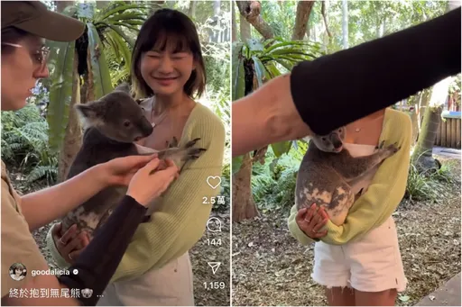 無尾熊趴胸前!愛莉莎莎澳洲初體驗感覺差  「他們超不尊重」