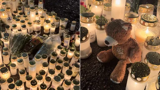 芬蘭校園槍擊1死2重傷 12歲槍手殺同學「因為被霸凌」