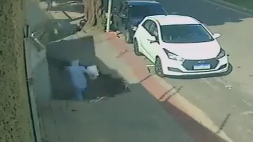 驚悚影片|人行道「崩塌吞掉醫生」 禍源竟是一棵樹