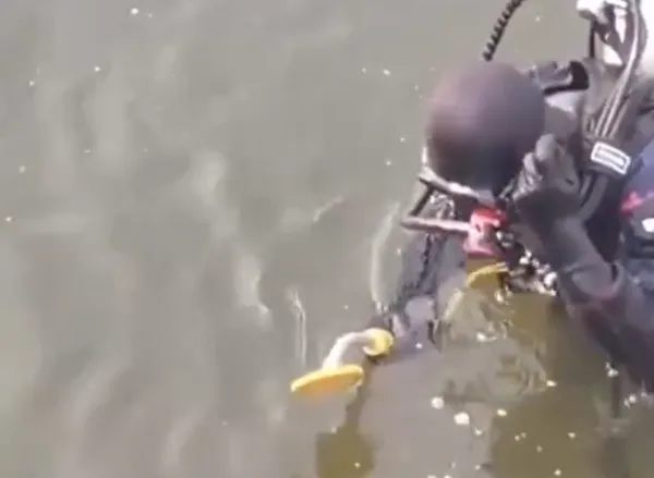 潛水員使用金屬探測儀下水尋找金戒。翻攝微博/山東青島